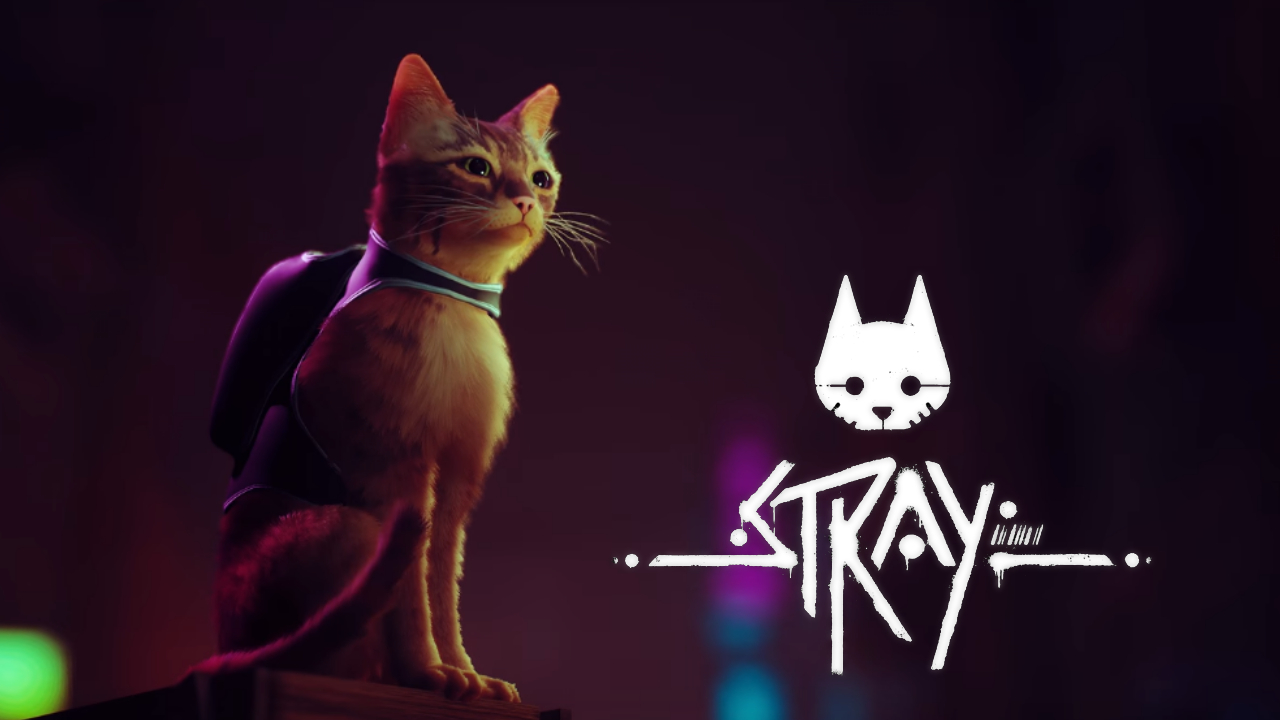 Stray про приключения кота может выйти 19 июля / Компьютерные и мобильные  игры / iXBT Live