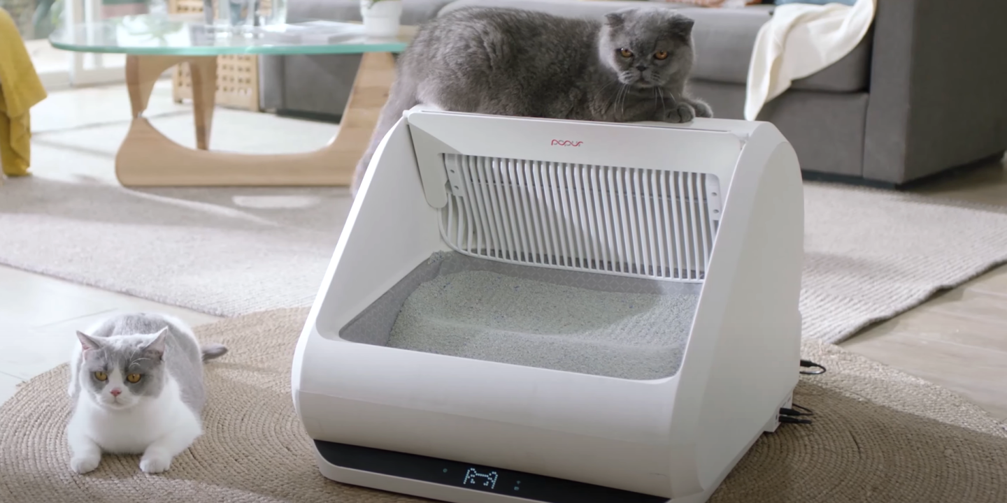 Автоматизация добралась и до кошачьего лотка! Представлен умный туалет для  кошек Popur X5 / Гаджеты / iXBT Live