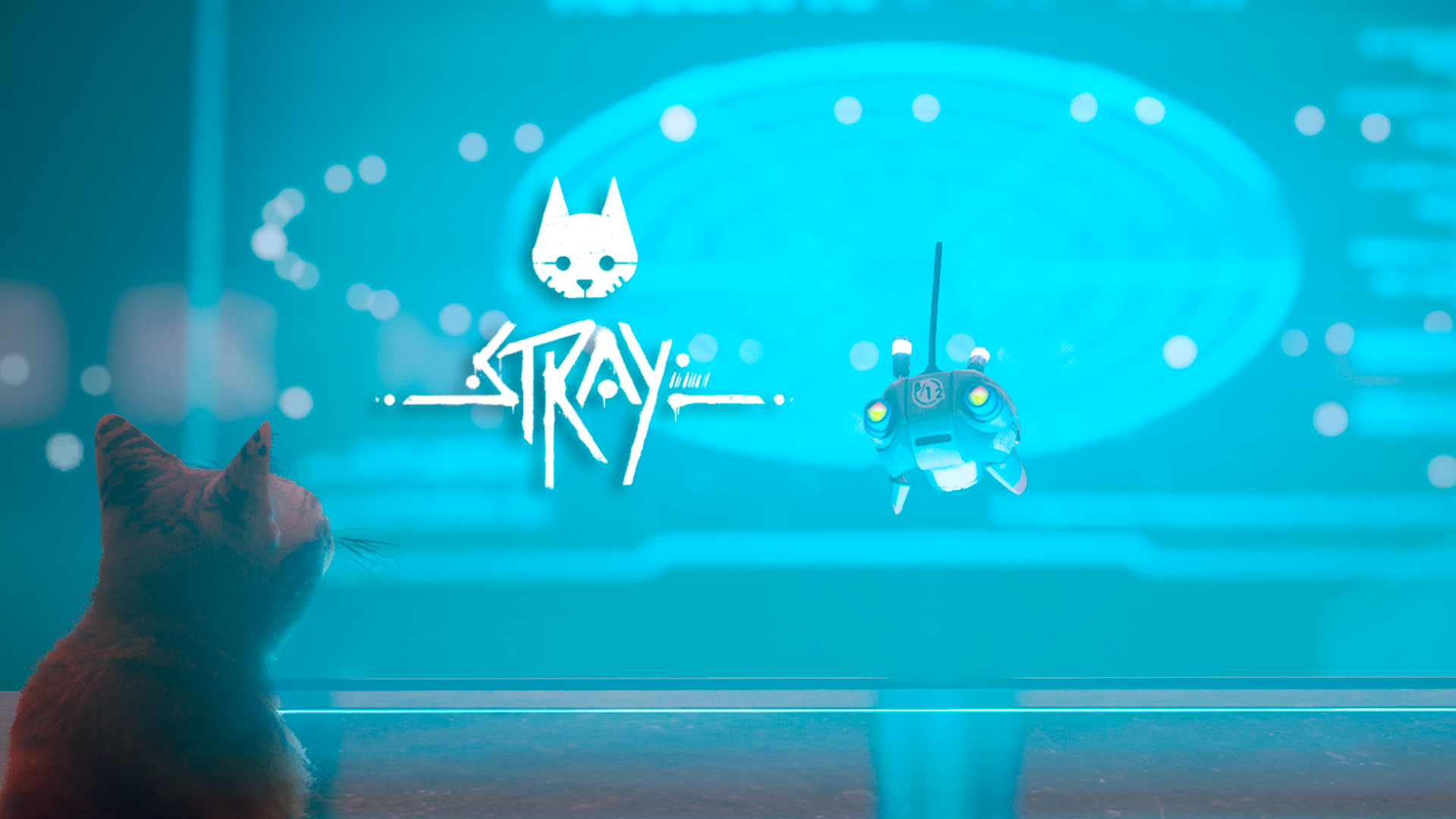 Обзор Stray. Отличное дополнение к несуществующей игре / Компьютерные и  мобильные игры / iXBT Live