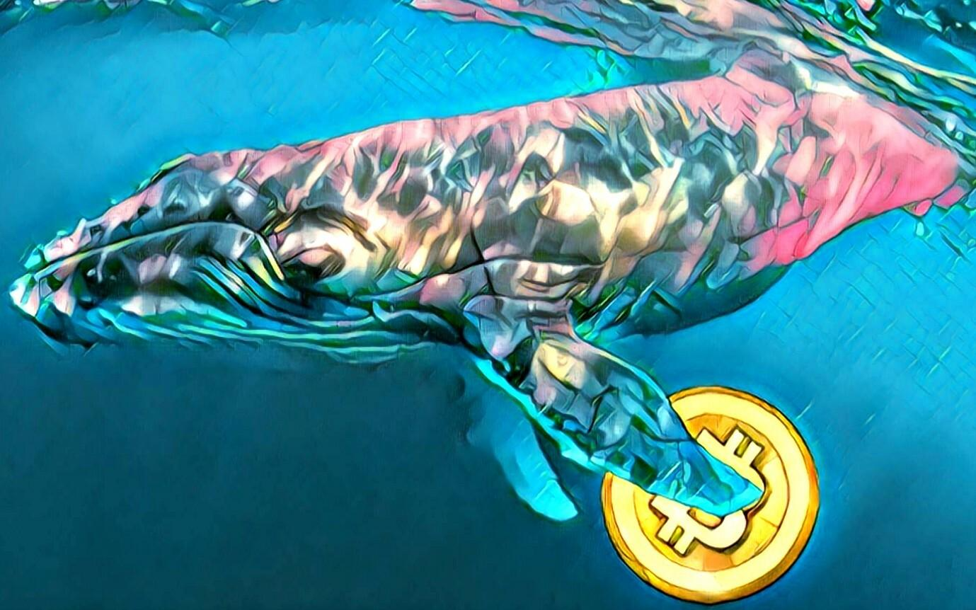 Top 10 bitcoin whales 2. Крипто кит. Кит криптовалюта. Кит BTC. Киты в криптовалюте.