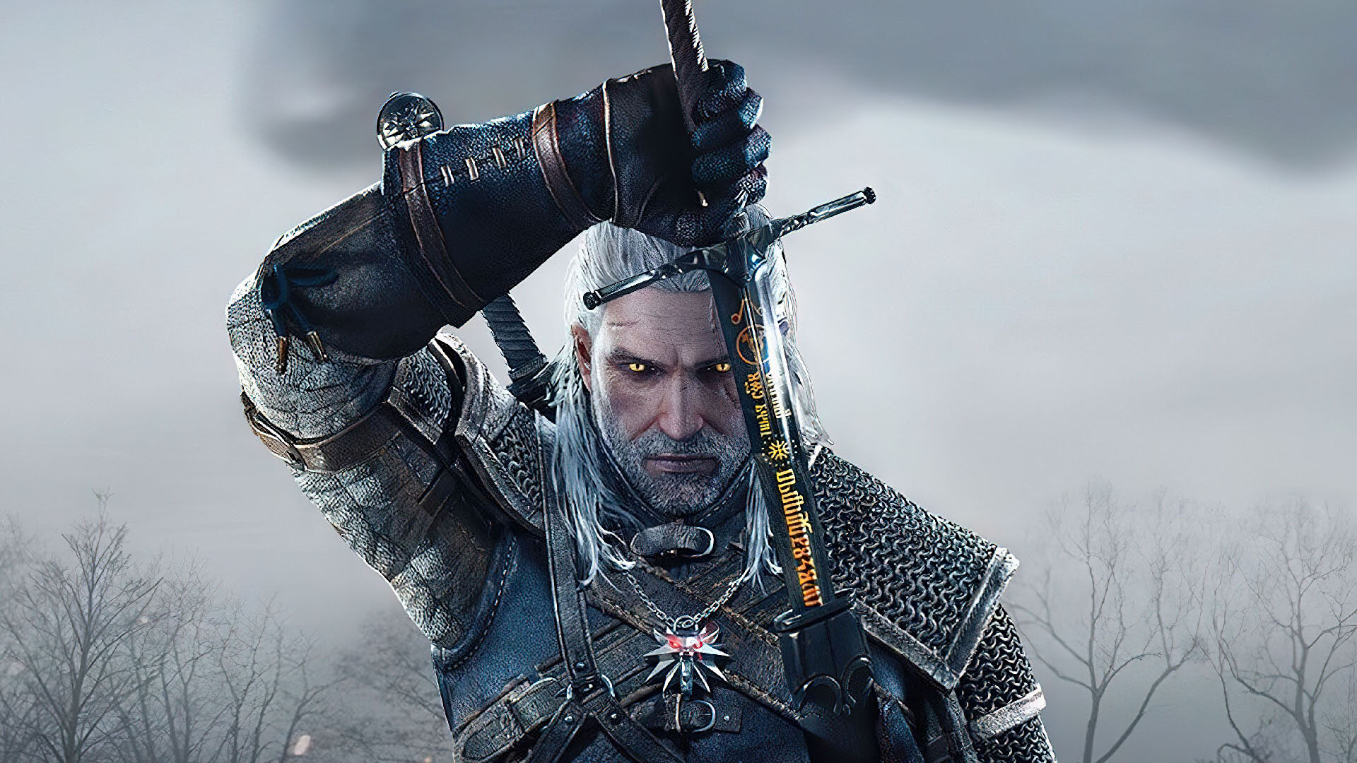 The witcher 3 the last game фото 25