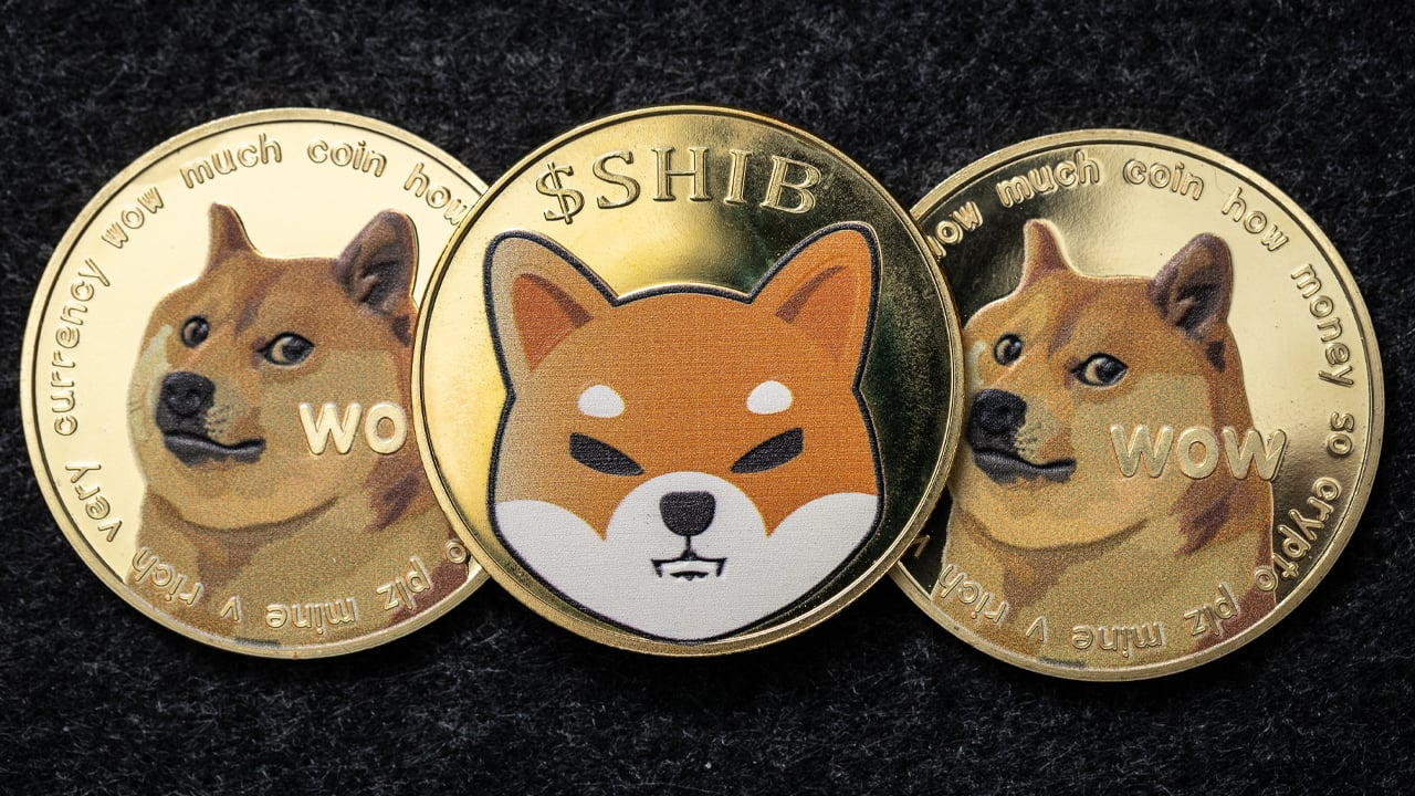 Мем коинс. Шиба ину криптовалюта. volt inu монета. мемы про монеты. doge криптовалюта.