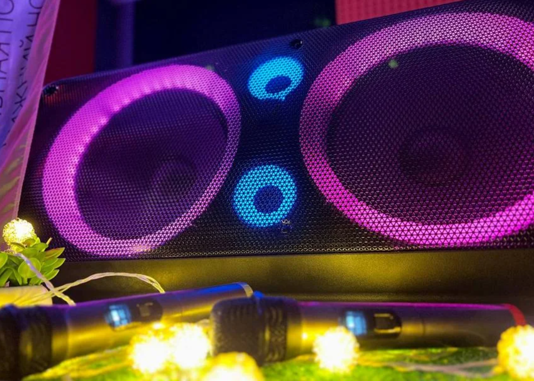 Мощно звучащая колонка для осенних свадеб ELTRONIC 20-83 DANCE BOX 800 ...