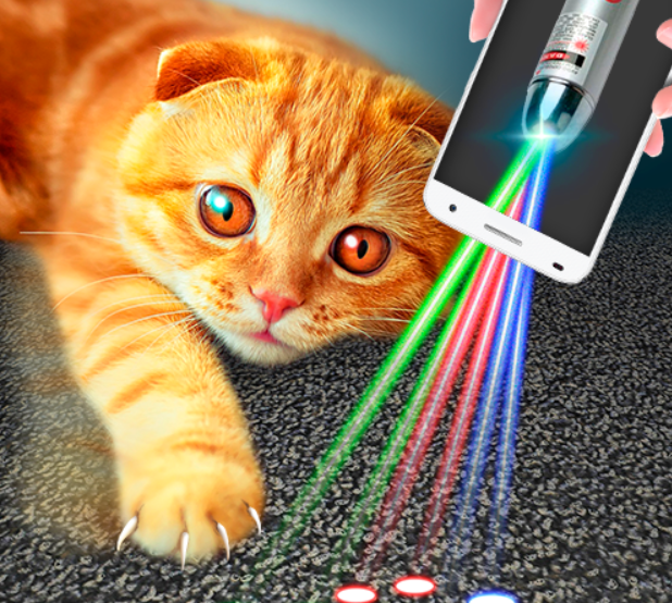 Кошка играет указкой. Лазерный Луч для кошек. Кот играется с лазером. Автоматический лазер для кошек. Игра лазер для котов.