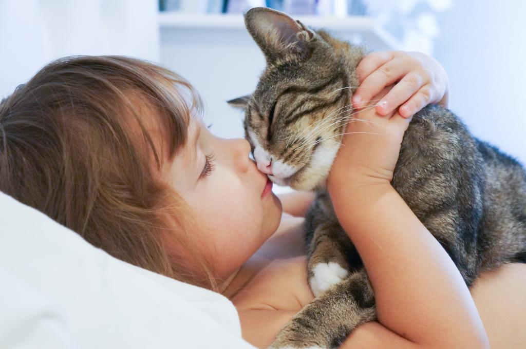 Как кошки целуются и почему обижаются на хозяев / Оффтопик / iXBT Live