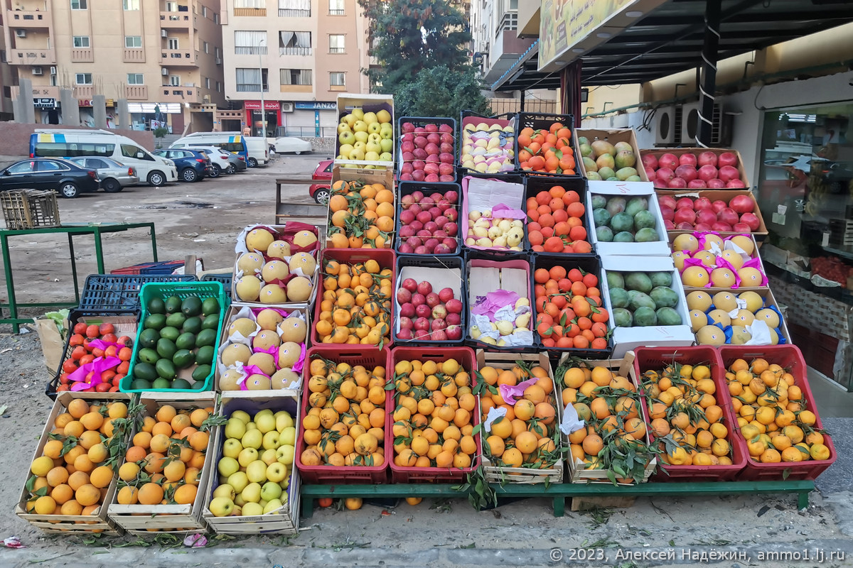 Такая разная яблоня Антоновка: описание, фото