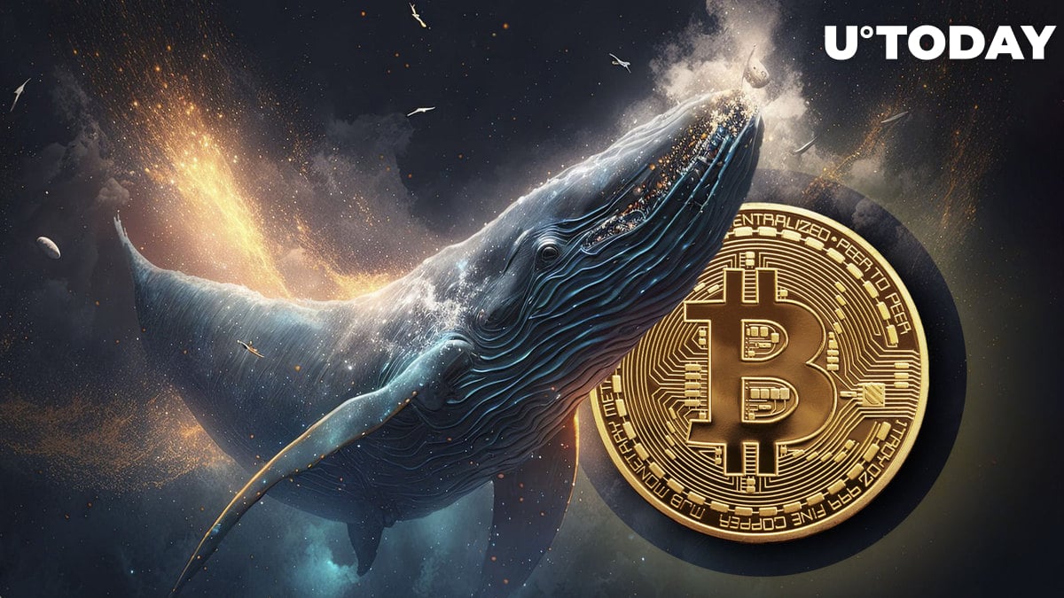 Top 10 bitcoin whales 2. Киты сбрасывает усы?.