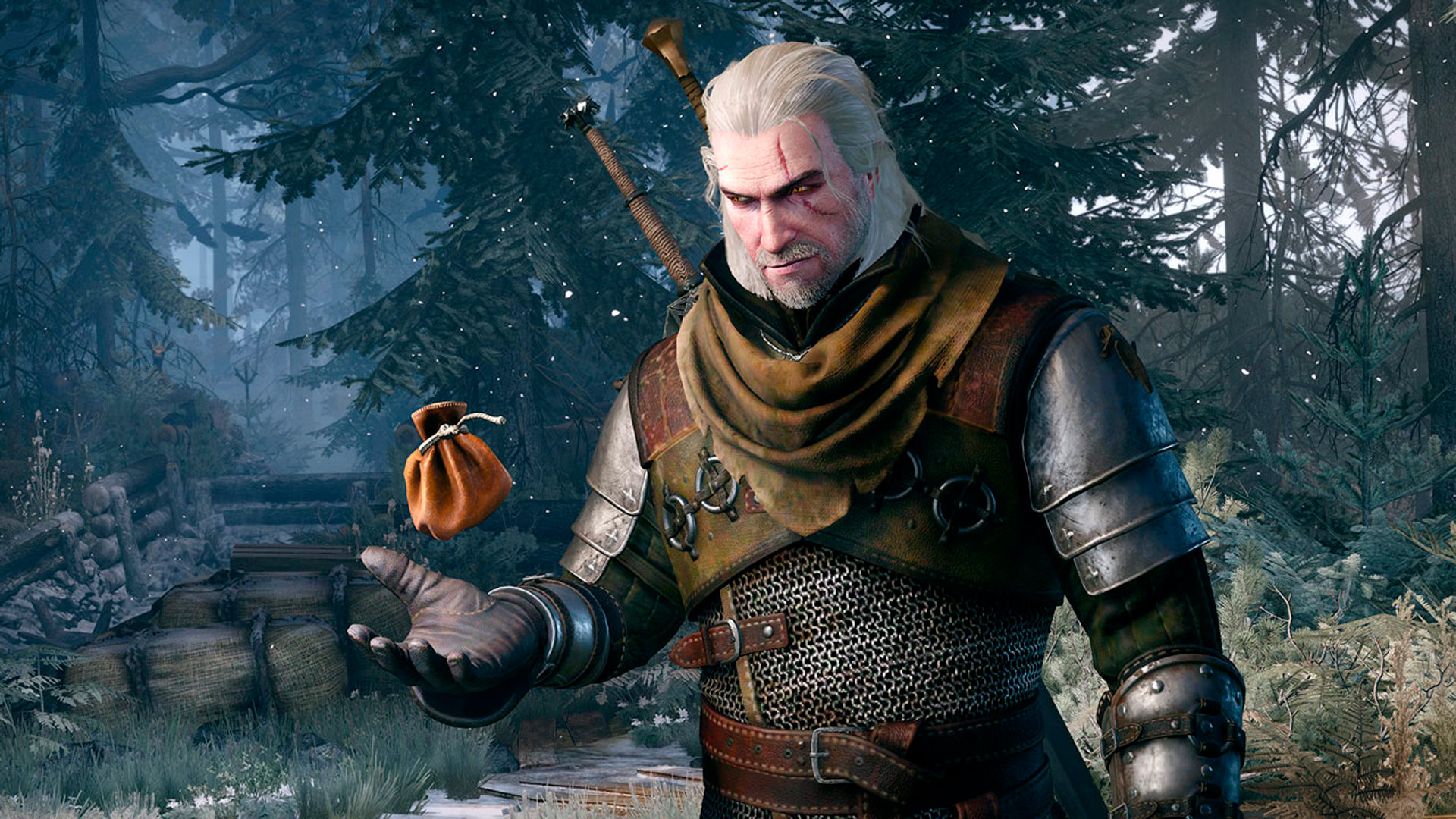 The Witcher 4 2024   7a55e8ee9e 