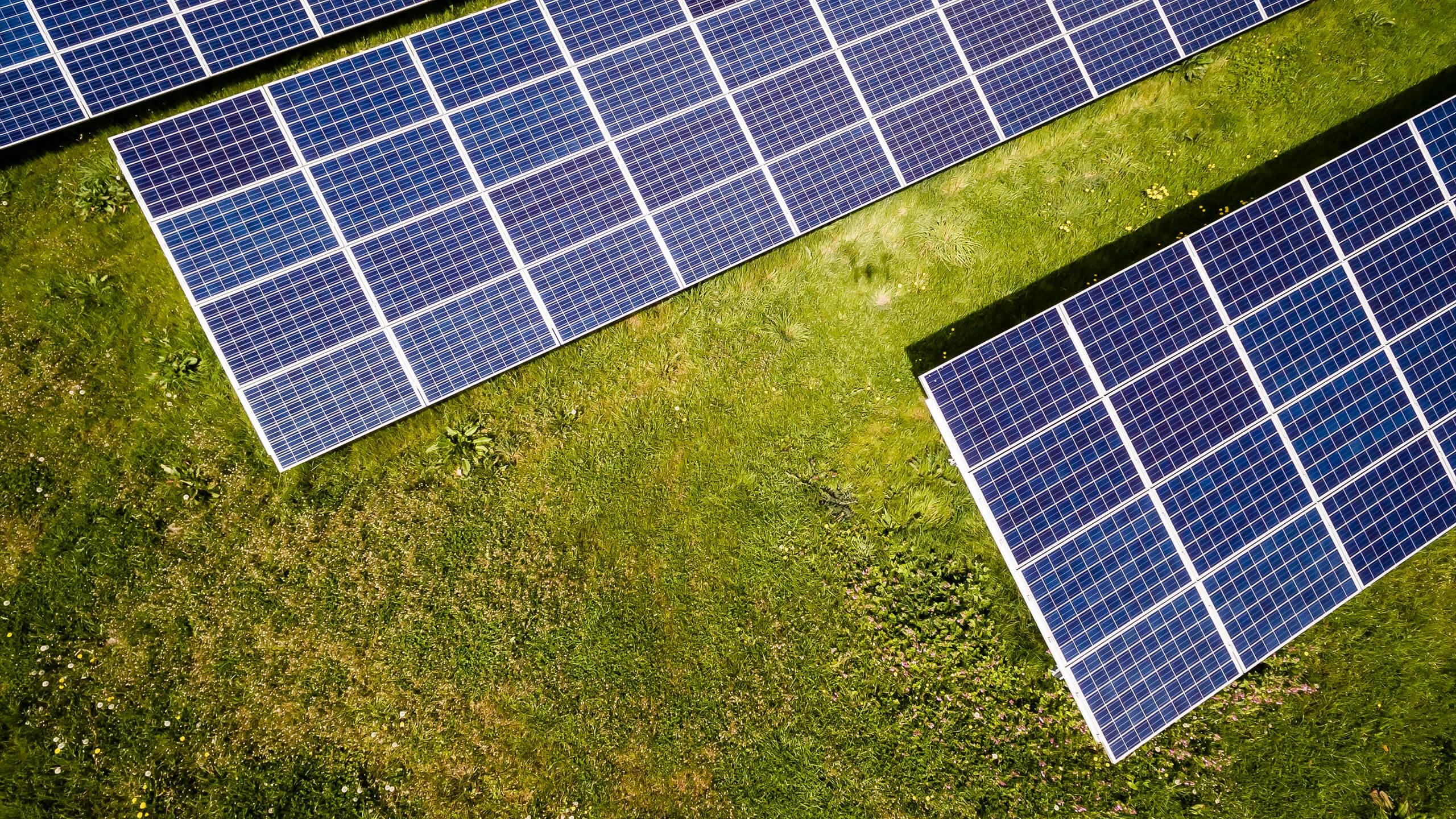 Солнечные панели сколько нужно панелей. PV Solar Panel. Green Solar 540 WT Solar Panel. Двусторонние солнечные панели. Полупрозрачные солнечные панели.