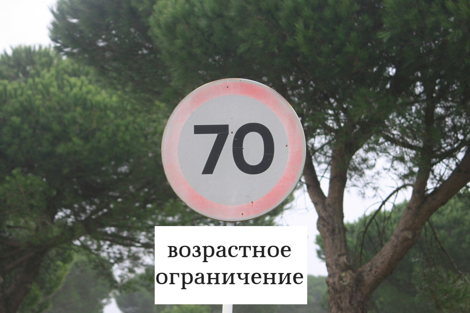 Старикам тут не место: организация «Ветераны России» предложила не выдавать  права людям старше 70 / Автомобили, транспорт и аксессуары / iXBT Live