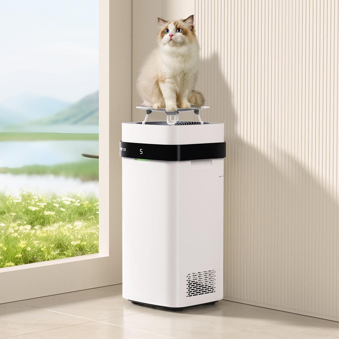 Xiaomi Beiang Pet X3 Pet White. Очиститель воздуха от запаха и шерсти  животных выходит на краудфандинг / Комфортный дом и бытовая техника / iXBT  Live