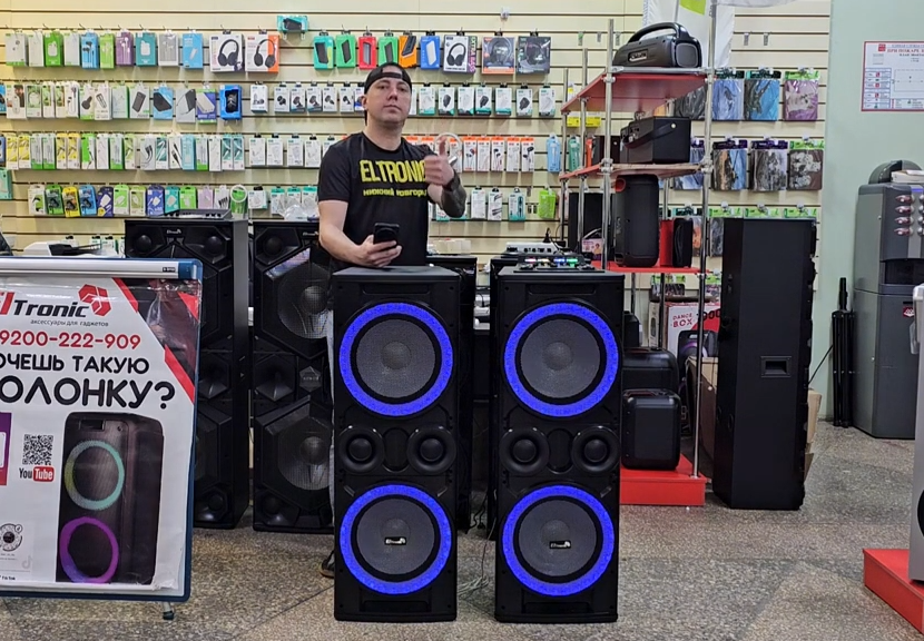 Громкие колонки ELTRONIC 20-06 TWIN BOX в корпусе МДФ для концертов и ...